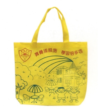 Non Woven Shopping Bag