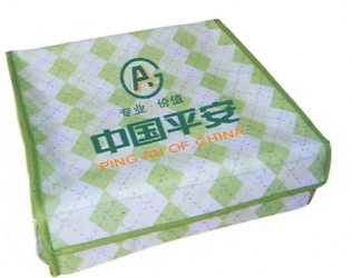 Non Woven Shopping Bag