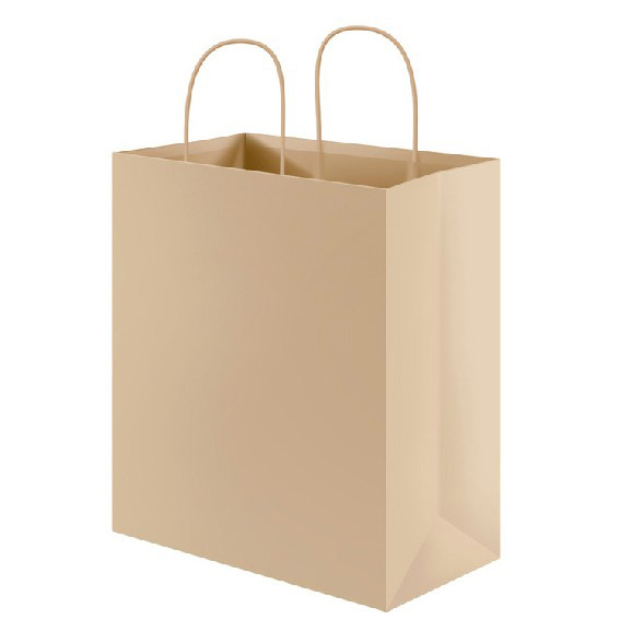 Recycled Brown Kraft Paper Bag